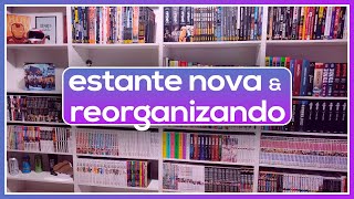 ORGANIZANDO minha NOVA ESTANTE de MANGÁS l HQ