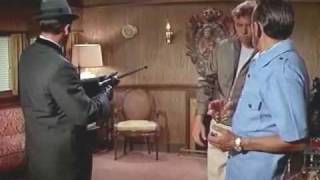The Green Hornet Sting