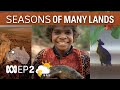 Fitzroy Valley [-O-] | Many Lands - Many Seasons | EP 2 | ABC Australia