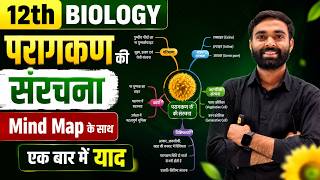 परागकण की संरचना class 12 biology | pollen grain structure in hindi