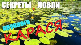 КАК СЛОВИТЬ КРУПНОГО КАРАСЯ. Это секреты нужно знать. Подводная съёмка.