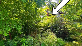 ELDERLY MAN STUNNED, Hasn’t seen his FRONT YARD in 10 Years, NO ONE would HELP! by Outdoors with Erik 931,846 views 7 months ago 28 minutes