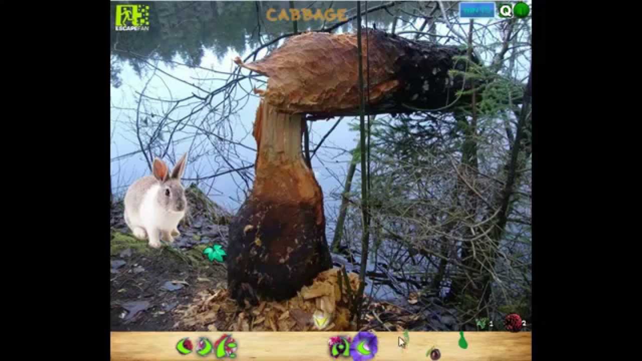 Into The Forest 2 Walkthrough YouTube into-the-forest-2-walkthrough-youtube