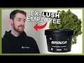 Ex lush employee honest review  herbalism face cleanser