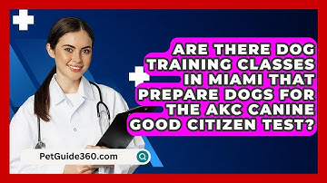 Are There Dog Training Classes in Miami That Prepare Dogs for the AKC Canine Good Citizen Test?