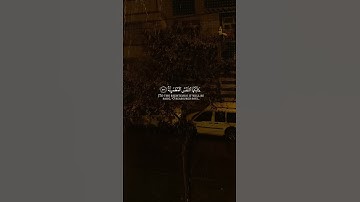 القارئ: محمد البراك | سورة الفجر | قران كريم| يقول ياليتني قدمت لحياتي | القرآن الكريم| رمضان