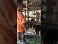 Goats Animal Eat Gre Animals Goat Dombahamil рџ рџђђрџђ Goats Animal Eat Gre Animals Goat Dombahamil рџ рџђђрџђ