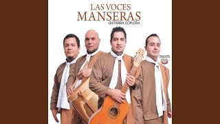 Video thumbnail of "Las Voces Manseras - Rosa Negra"