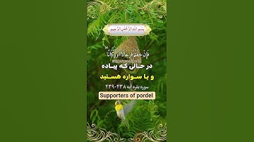 ترجمه فارسي سوره مبارک بقره آیه ۲۳۸-۲۳۹☝️🤲🕋❤️