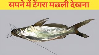 Seeing a tengra fish in a dream || Meaning of seeing a tengra fish in a dream