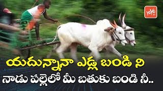 Yadhunnana Edlabandini Song | Telangana Palle Patalu | Telugu Folk Songs | YOYO TV Music