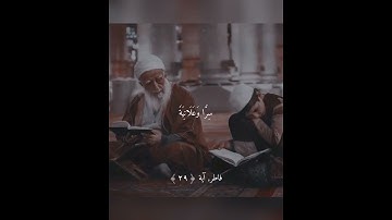سورة فاطر آية 29
