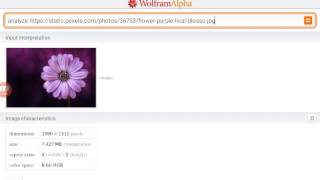 Running mathematica code on Android Wolfram Alpha
