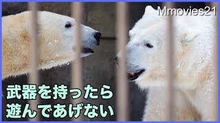 素直なリラ　母との約束を守る　ホッキョクグマ親子の遊び方