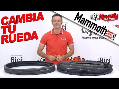 Video: ¿Cuándo debo reemplazar los neumáticos de mi bicicleta?