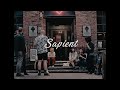 【MV】Drive Boy - Sapient (2019 UK Tour Footage)