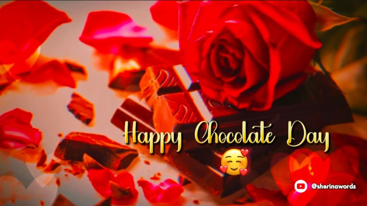 9 February Chocolate Day Status 2026🍫||🍫 Happy Chocolate Day Love Status🍫