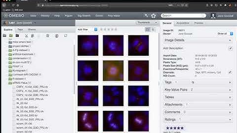 Annotate, filter  and search data in OMERO