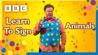 Learn to sign Animals | Mr Tumble🐑🐖🐒🐂