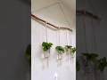 🌿ഭംഗിയുണ്ടോ…?|sumeez#shorts#diy#shortfeed#planter#trending#love#ytshorts#doityourself#viral#yt#easy