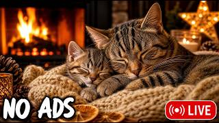 Cat Relaxation Music | Calming Sounds for Cats with Anxiety | Deep Sleep