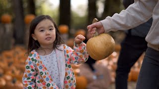 Fall 2024 (Maan Farms Pumpkin Patch, Vancouver) | Sony ZV-E10