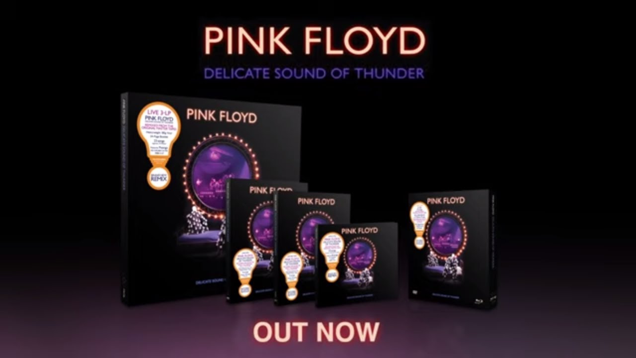 Pink Floyd - Delicate Sound Of Thunder (Unboxing Video) - YouTube
