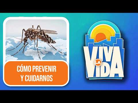 International Dengue Day