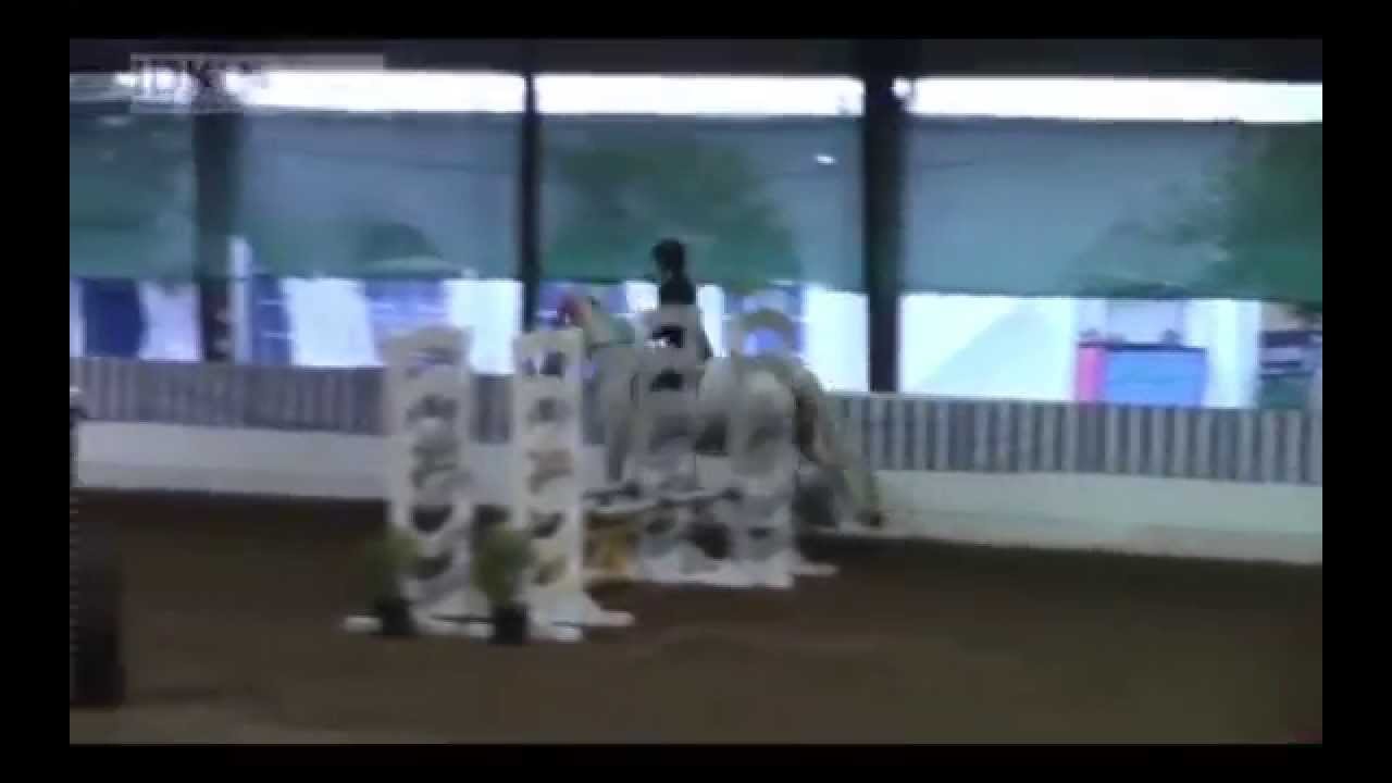 First Jumper Competition Ever, Pin Oak Blue Ribbon Rounds