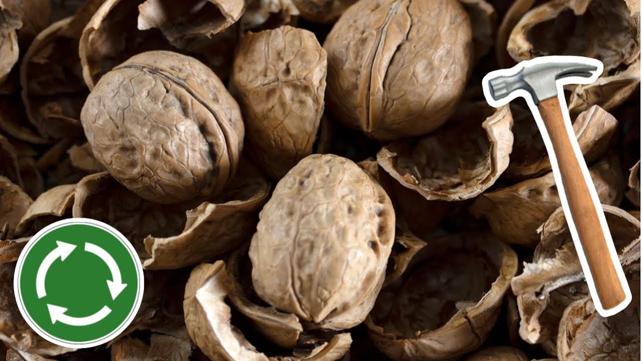 3 Ingenious Ideas with Walnut Shells! - YouTube