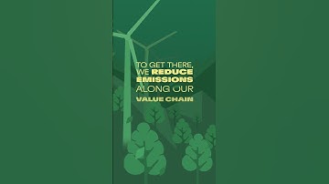 One year on our journey to net-zero – and this is just the start. 🌍