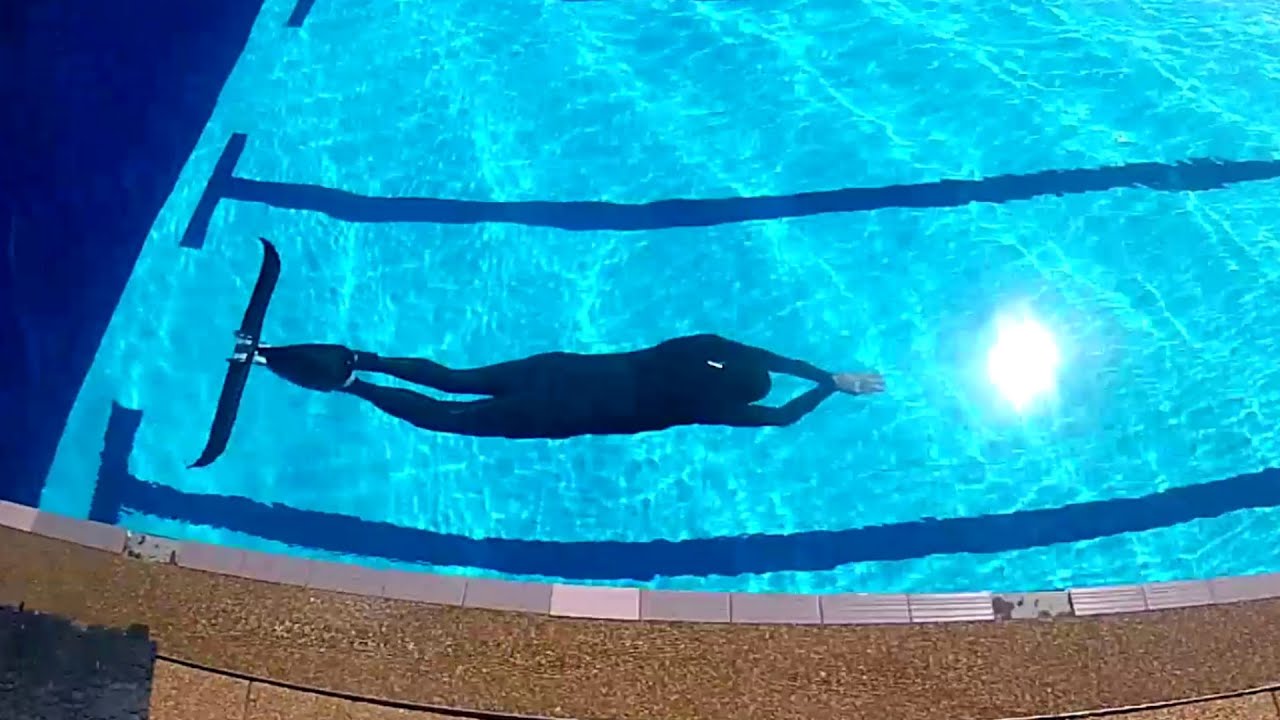 Walt DYN baseline, adjustable wing trim position #4