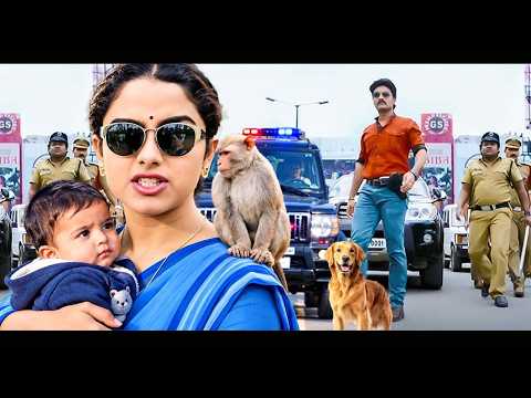 South Hindi Dubbed Action Romantic Movie Full HD 1080p | Rajasekhar, Sakshi Shivanand & Brahmanandam