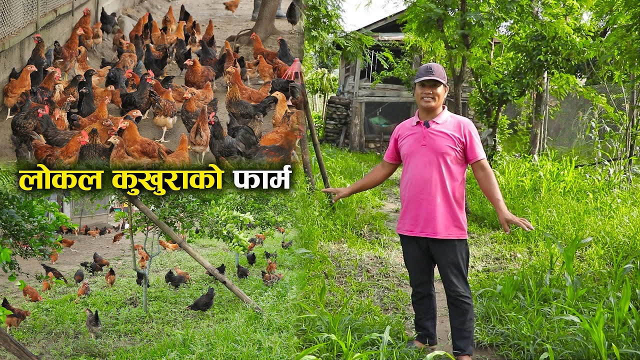 विदेशमा बसेपनि नेपालको नक्सा कोर्थें,आज सफल भएको छु : अमृत गुरुङ