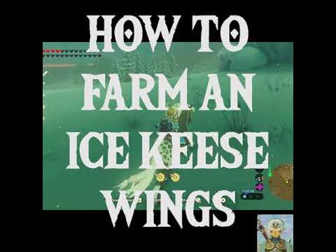 HOW TO FARM AN ICE KEESE WINGS #SHORTS #BOTW
