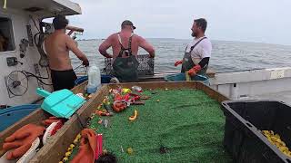 It started slow but got really good! Our day at sea today lobster fishing in New Jersey