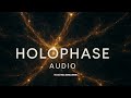 Holophase Ep. 6 (Part 5): How to Ask Reality Questions: Derivatives in the Holophase Sea