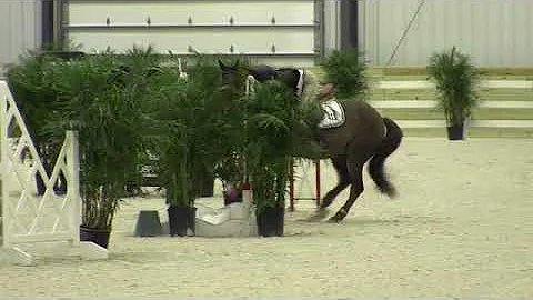 Video of SLY FOX ridden by CHRISTINE CLAWSON-JUDD ...