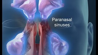 Endoscopic Sinus Surgery for Pain, Drainage, Infections, and Impaired breathing screenshot 2