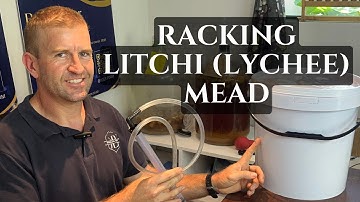 Racking of Litchi (Lychee) Mead at the end of the fermentation process