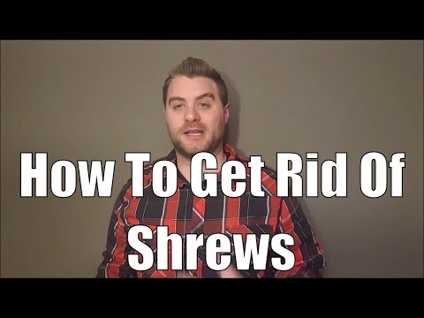 The taming of the shrew and how to get rid of shrews