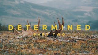 Determined Part 2 - A DIY Alaska Moose Hunt - Drop in Moose hunting 4k Video