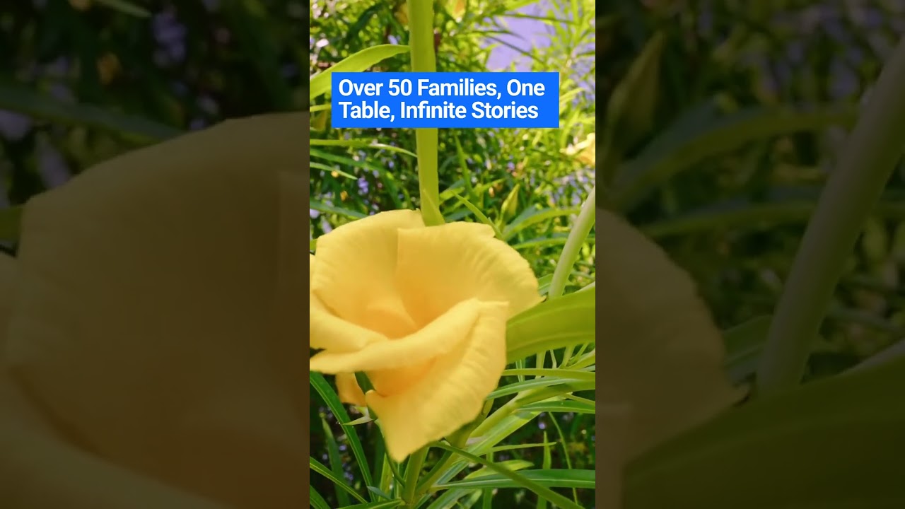 Heartfelt Stories from Our Community Potluck