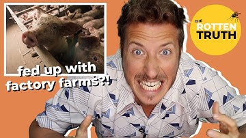 THIS is How We End Factory Farming