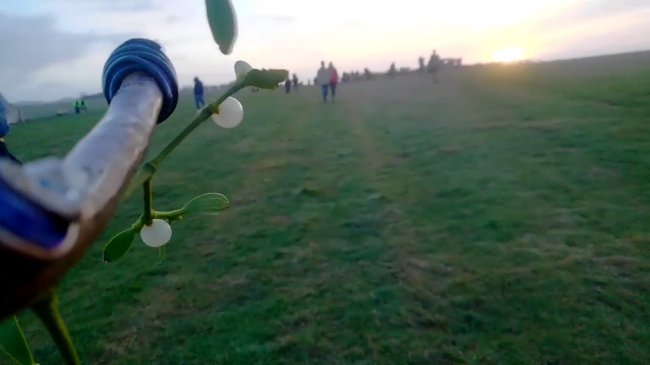 ストーンヘンジとウィルツシャー Juju S Ownd