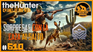 HACIENDO CAZA AL SALTO SALEN SORPRESITAS | 🦌theHunter: CotW #610