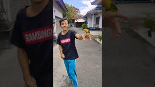 Lovebird Pintar Maxi Tes Terbang