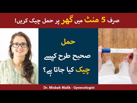 How To Do Pregnancy Test At Home With Strip In Urdu - Hamal Check Karne Ka Tarika - Strip Test