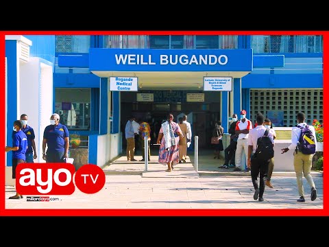 Video: Hospitali Za Wanyama Za VCA Kutoa Makao Ya Wanyama Bure Katika Maeneo Yaliyokumbwa Na Maafa