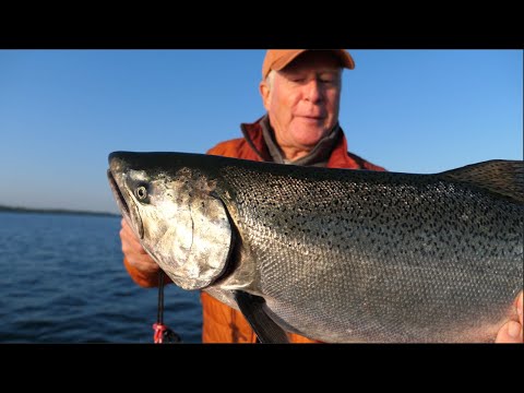 MICHIGAN KINGS  Lake Michigan Salmon Fishing (CATCH AND COOK) Salmon  Recipe 